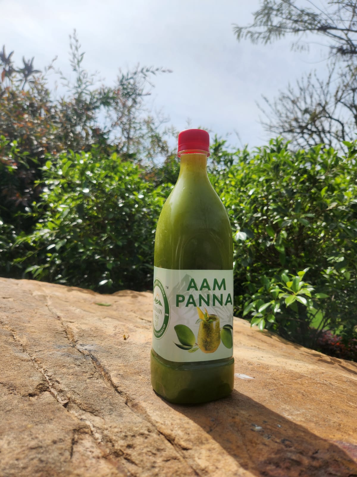 Aam Panna